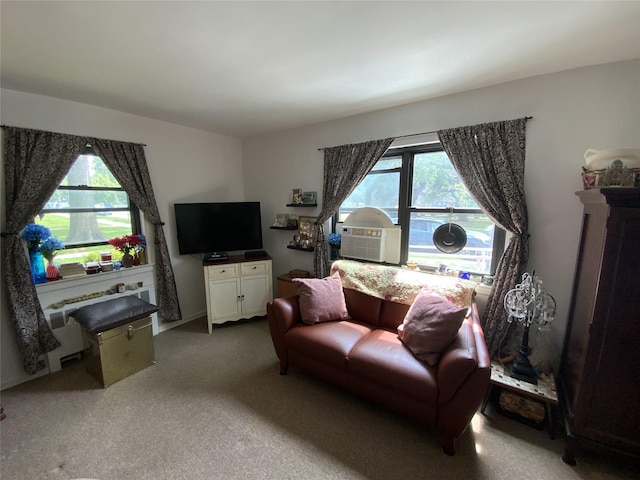 73-19 217th St Unit Nd, Oakland Gardens, NY 11364 - view of carpeted living room