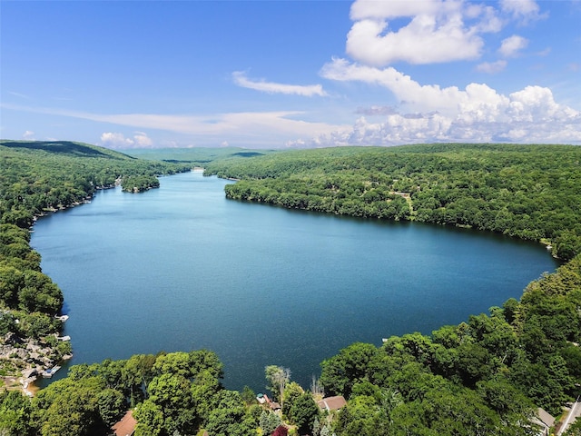 1034 Rte 292, Holmes, NY 12531 - aerial view of a heavily wooded area and a nearby body of water