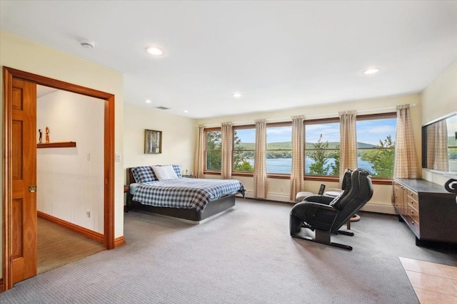 1034 Rte 292, Holmes, NY 12531 - bedroom with light carpet, multiple windows, and recessed lighting