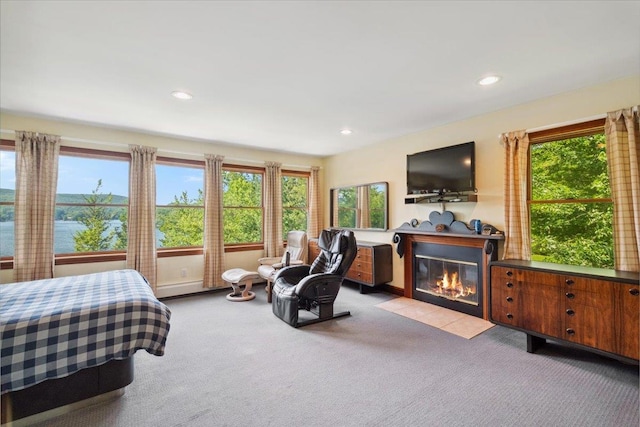 1034 Rte 292, Holmes, NY 12531 - carpeted bedroom featuring multiple windows, a fireplace with flush hearth, and recessed lighting