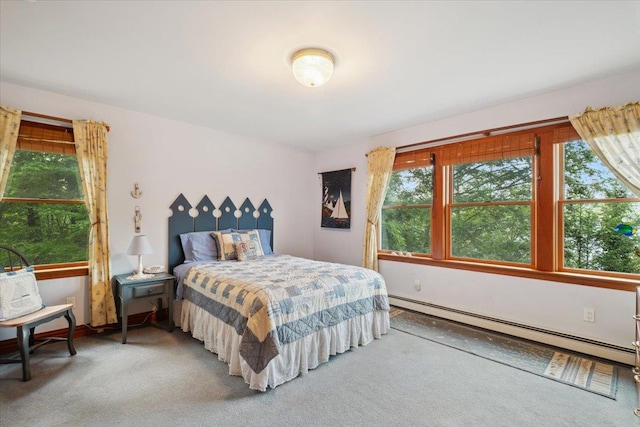 1034 Rte 292, Holmes, NY 12531 - bedroom with baseboard heating and carpet