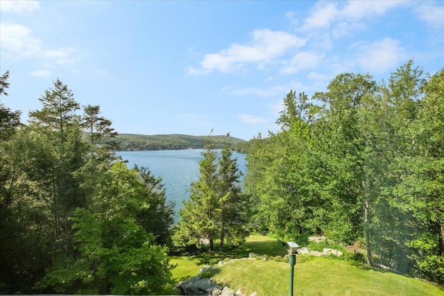 1034 Rte 292, Holmes, NY 12531 - water view with a heavily wooded area