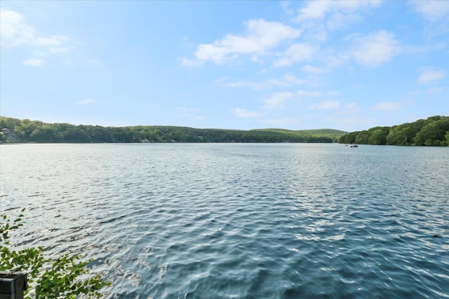 1034 Rte 292, Holmes, NY 12531 - water view with a heavily wooded area