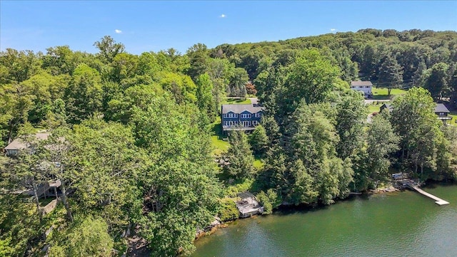 1034 Rte 292, Holmes, NY 12531 - aerial view of property and surrounding area featuring a heavily wooded area and a nearby body of water