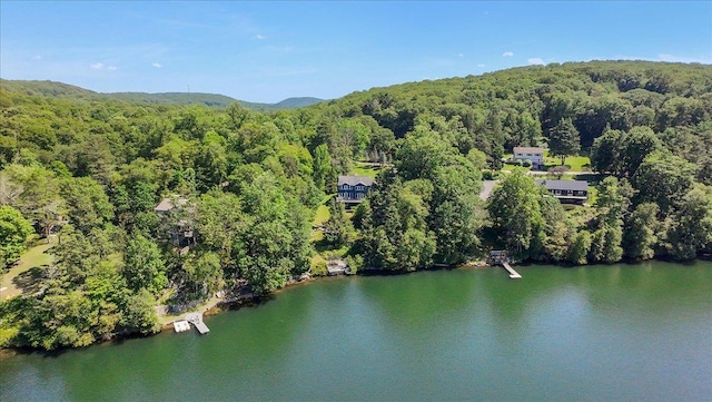 1034 Rte 292, Holmes, NY 12531 - view of property location featuring a heavily wooded area and a large body of water