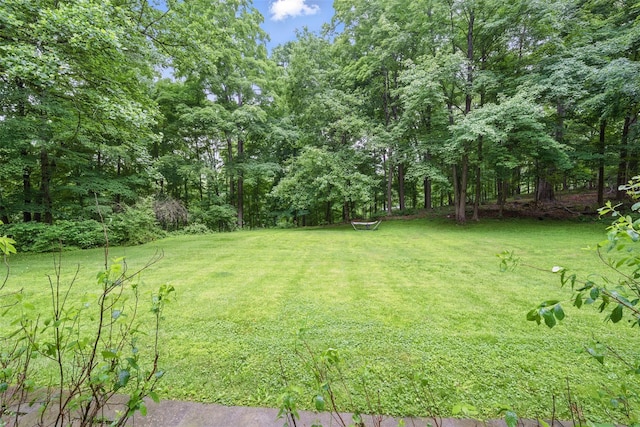 99 Furnace Dock Rd, Croton-On-Hudson, NY 10520 - view of grassy yard