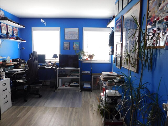 133 Lattintown Rd, Newburgh, NY 12550 - office featuring wood finished floors