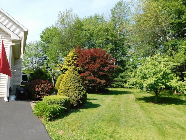 133 Lattintown Rd, Newburgh, NY 12550 - view of grassy yard