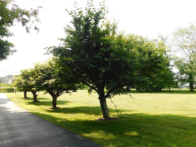 133 Lattintown Rd, Newburgh, NY 12550 - view of community with a yard