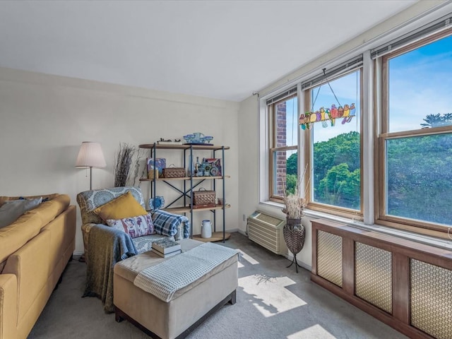 245 Rumsey Rd Unit 3R, Yonkers, NY 10701 - photo 5