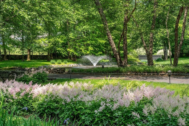 21 Dorann Rd, Purchase, NY 10577 - view of yard