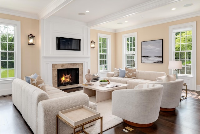 21 Dorann Rd, Purchase, NY 10577 - living room with plenty of natural light, wood finished floors, ornamental molding, a large fireplace, and recessed lighting