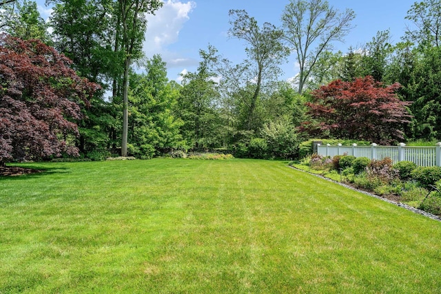 21 Dorann Rd, Purchase, NY 10577 - view of yard