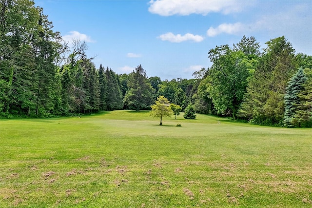 169 Rte 118, Yorktown Heights, NY 10598 - view of community with a yard and golf course view