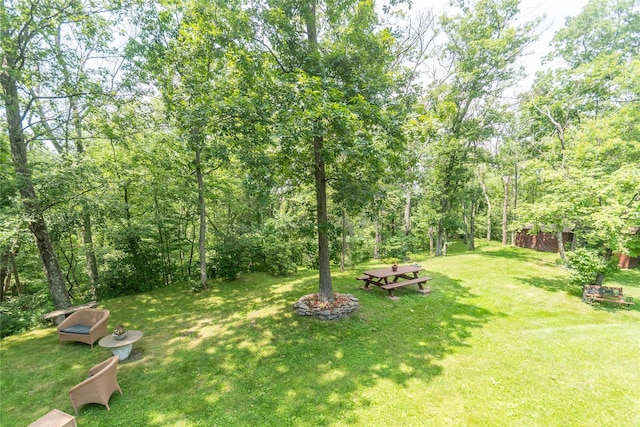 89 Birch Dr, Pleasant Valley, NY 12569 - photo 10
