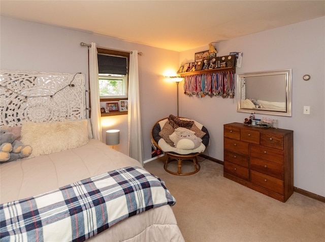 89 Birch Dr, Pleasant Valley, NY 12569 - photo 44