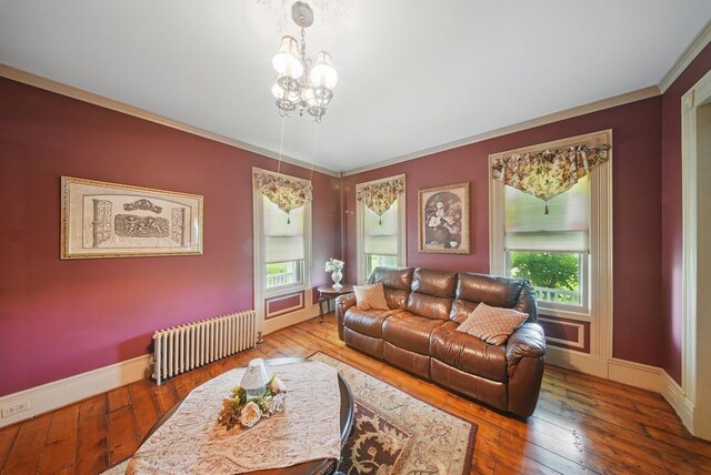 482 Scotchtown Ave, Middletown, NY 10941 - living room with radiator, plenty of natural light, hardwood / wood-style flooring, crown molding, and a chandelier