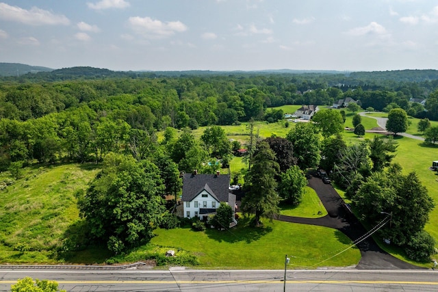 482 Scotchtown Ave, Middletown, NY 10941 - view from above of property with a forest