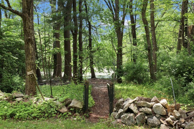 200 Millwood Rd, Chappaqua, NY 10514 - view of undeveloped land