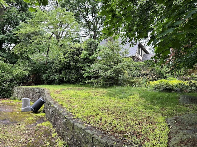 2 Rochelle Rd, Larchmont, NY 10538 - view of yard