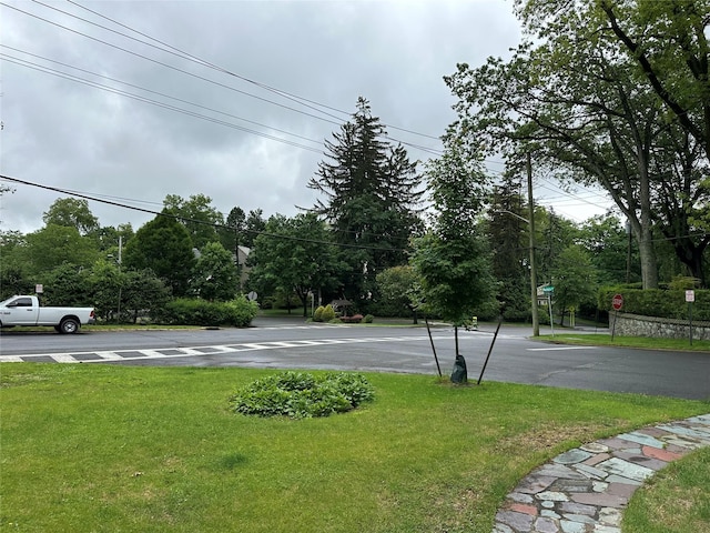 2 Rochelle Rd, Larchmont, NY 10538 - view of green lawn