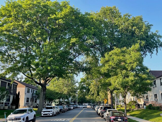 136-05 68th Dr Fl B 2Nd, Kew Garden Hills, NY 11367 - photo 3