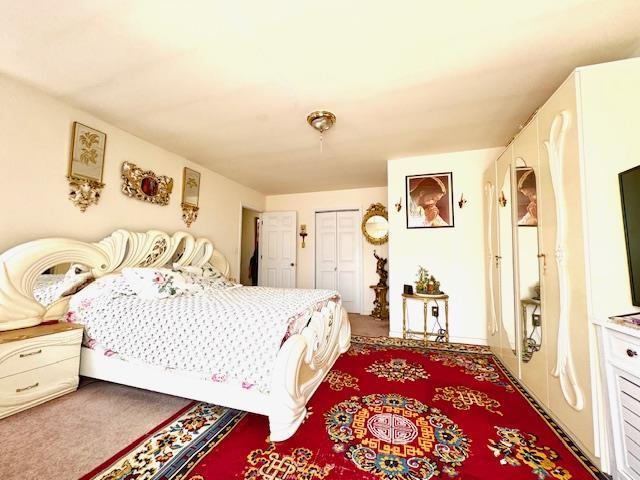 148 Bch 97th St, Rockaway Beach, NY 11693 - bedroom with a closet and light colored carpet