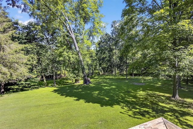 47 Carol Dr, Hopewell Junction, NY 12533 - photo 34