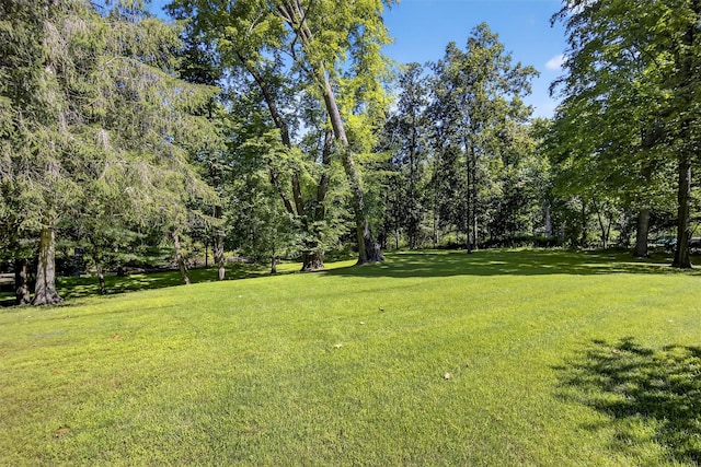 47 Carol Dr, Hopewell Junction, NY 12533 - photo 39