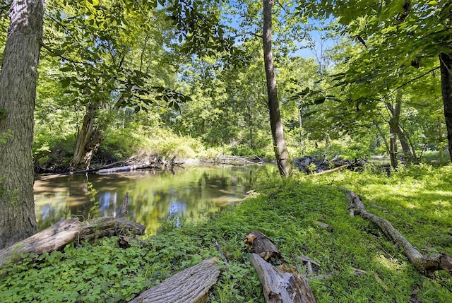 47 Carol Dr, Hopewell Junction, NY 12533 - photo 42