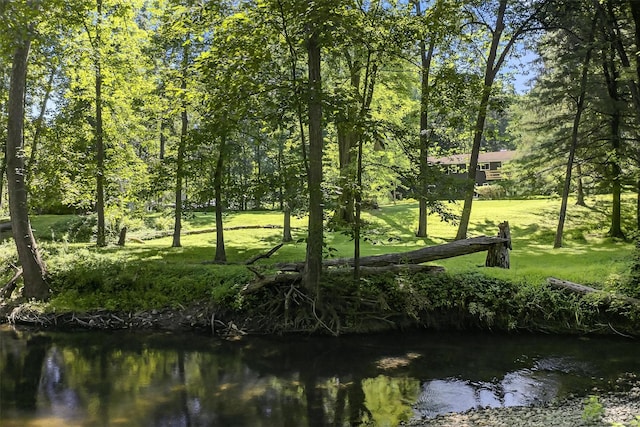 47 Carol Dr, Hopewell Junction, NY 12533 - photo 44