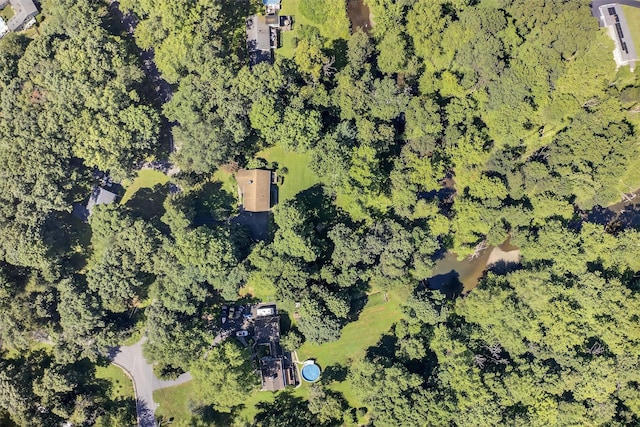 47 Carol Dr, Hopewell Junction, NY 12533 - photo 49