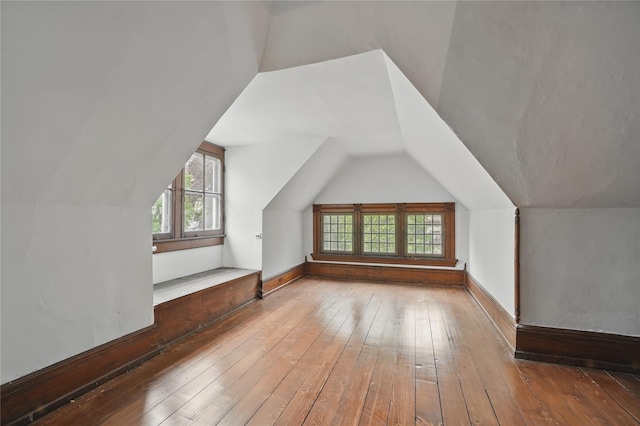 25 Garfield Pl, Poughkeepsie, NY 12601 - additional living space featuring vaulted ceiling, hardwood / wood-style floors, and plenty of natural light
