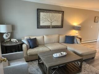 738 Craft Ave, Franklin Square, NY 11010 - living room with wood finished floors and baseboard heating
