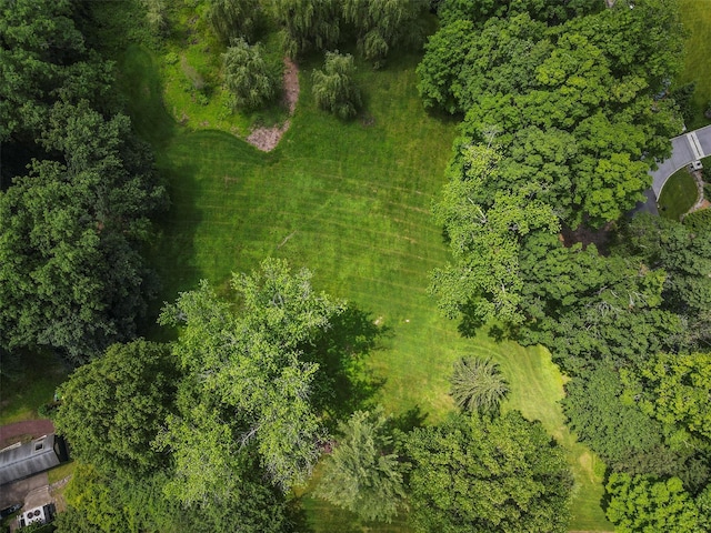 15 Rockledge Rd, Rye, NY 10580 - photo 3
