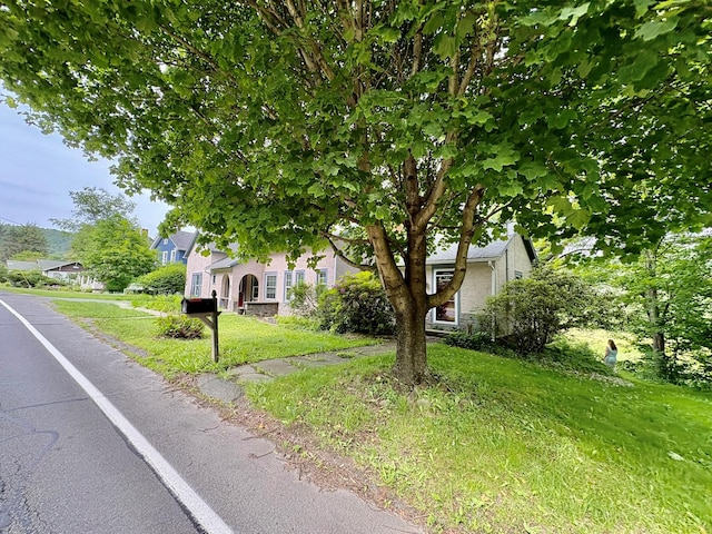 13 Rockland Rd, Roscoe, NY 12776 - view of property hidden behind natural elements with a front yard
