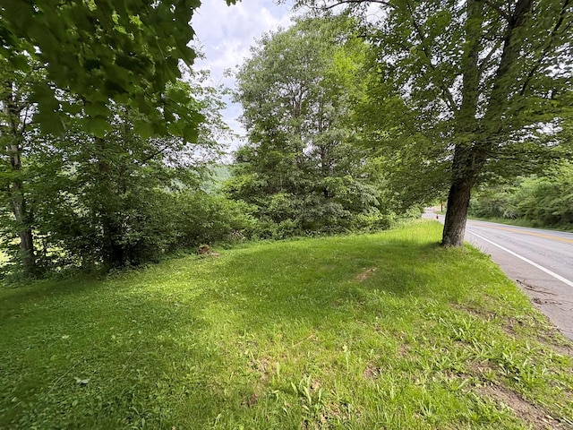 13 Rockland Rd, Roscoe, NY 12776 - view of yard
