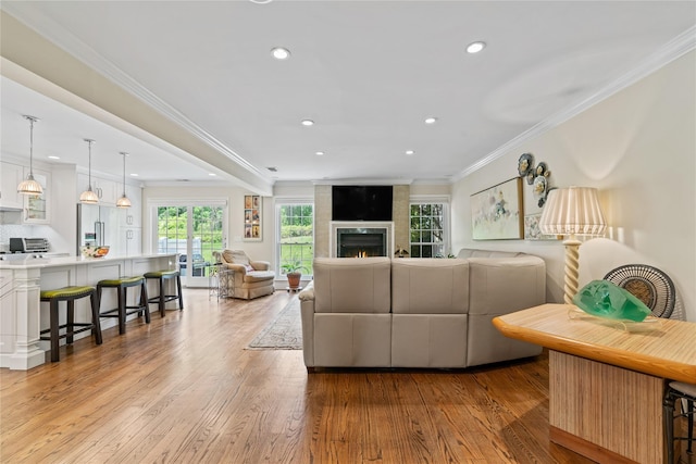 81 Hidden Ridge Dr, Syosset, NY 11791 - living area featuring recessed lighting, light wood-style flooring, crown molding, and a fireplace