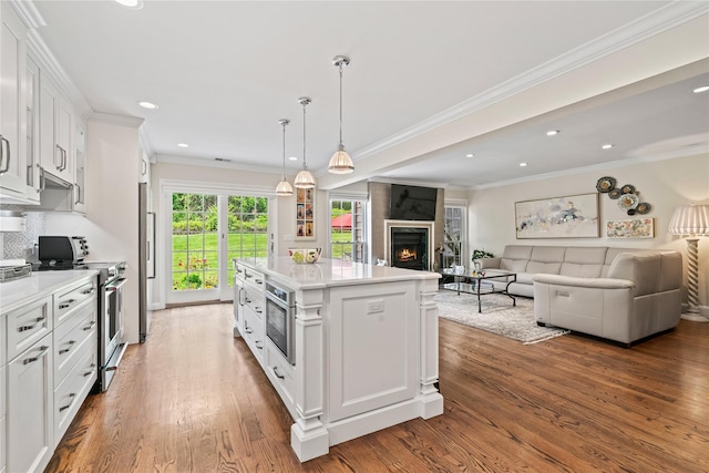 81 Hidden Ridge Dr, Syosset, NY 11791 - kitchen featuring stainless steel appliances, white cabinetry, open floor plan, wood finished floors, and recessed lighting