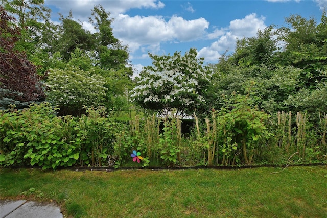 9 Quail Path, Coram, NY 11727 - view of green lawn