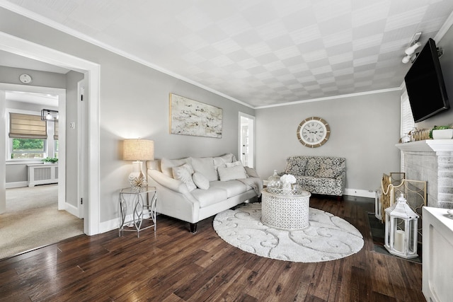 305 Columbus Ave, Harrison, NY 10604 - living room with wood finished floors, crown molding, a fireplace, and radiator heating unit