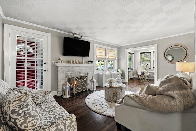 305 Columbus Ave, Harrison, NY 10604 - living room featuring crown molding, a fireplace, and wood finished floors