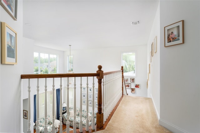 50 Wildflower Dr, Ridge, NY 11961 - photo 14