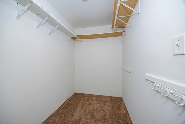 15 Pond St, Poughkeepsie, NY 12603 - walk in closet with carpet flooring