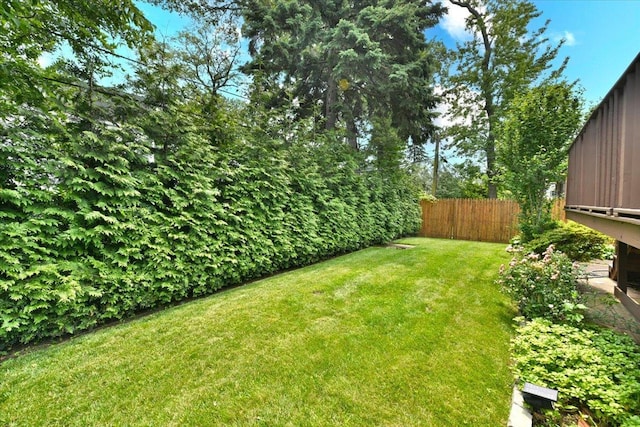 8519 212th St, Hollis Hills, NY 11427 - view of yard