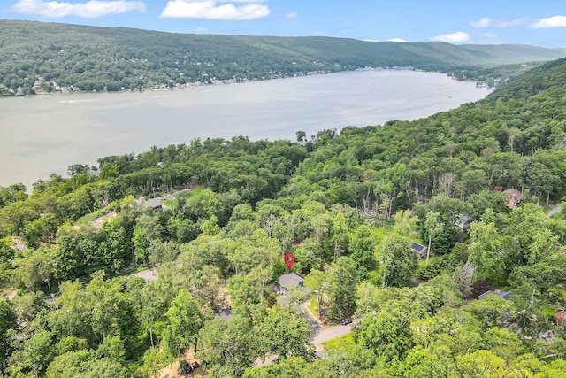39 Cliff Rd, Greenwood Lake, NY 10925 - bird's eye view of a forest and a nearby body of water