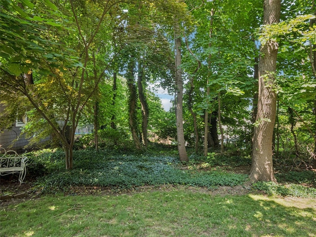 347 Scudder Ave, Northport, NY 11768 - view of yard