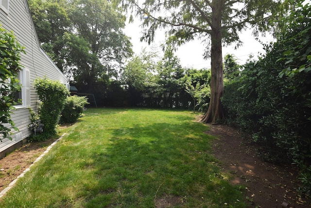 113 Edgeworth St, Valley Stream, NY 11581 - view of grassy yard
