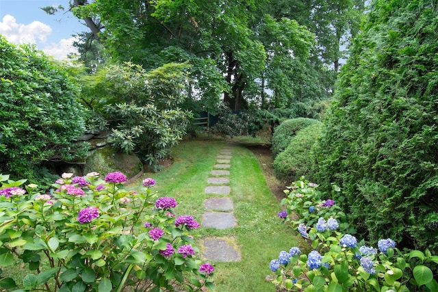 3 Little Ln, White Plains, NY 10605 - view of yard