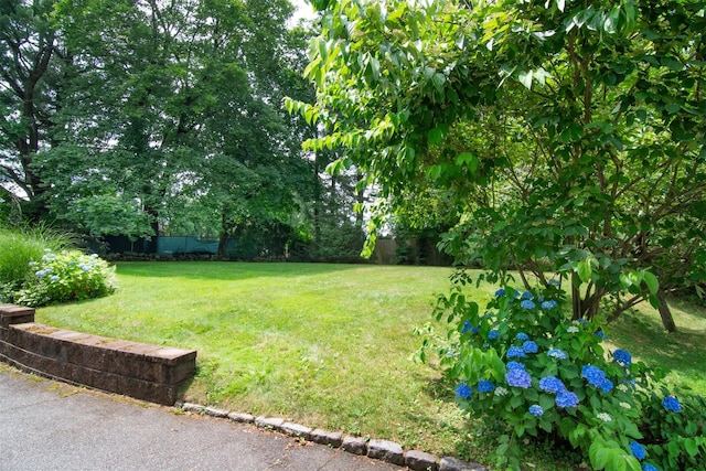 3 Little Ln, White Plains, NY 10605 - view of green lawn